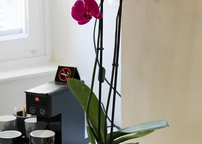 מלון Oiko Mini *